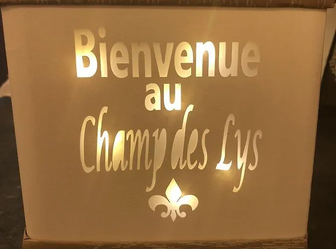 Le Champ Des Lys